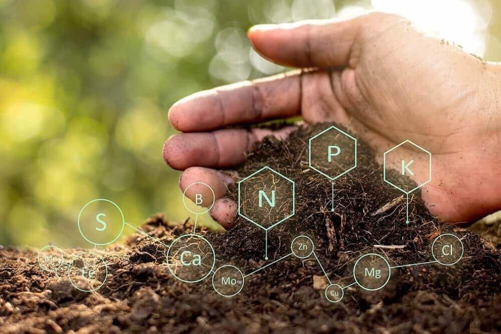 analisis de suelo cordoba analisis de suelo para agricultura de precision en cordoba argentina