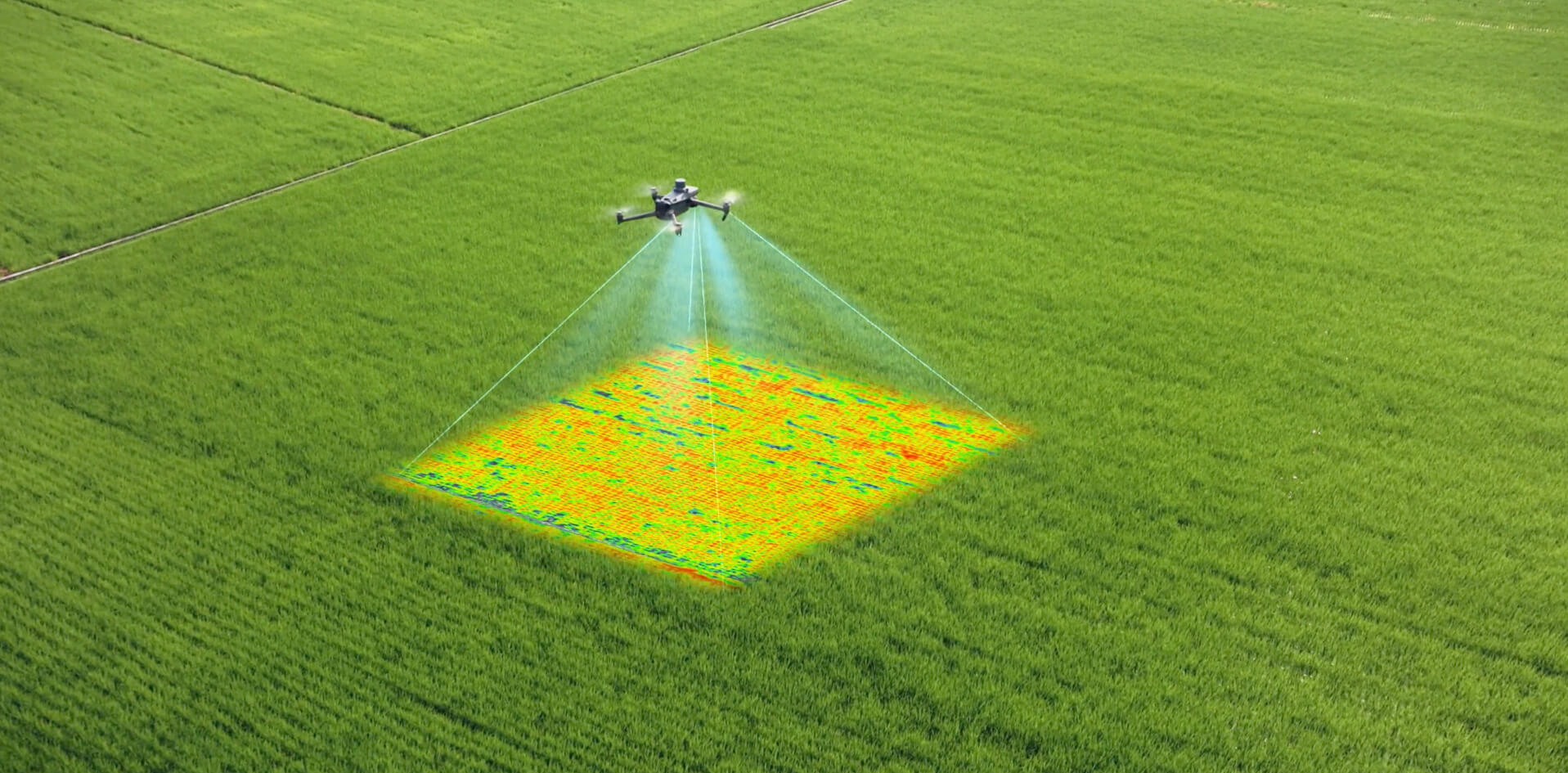 Vuelo de drone cordoba Optimización agrícola con drones en Córdoba