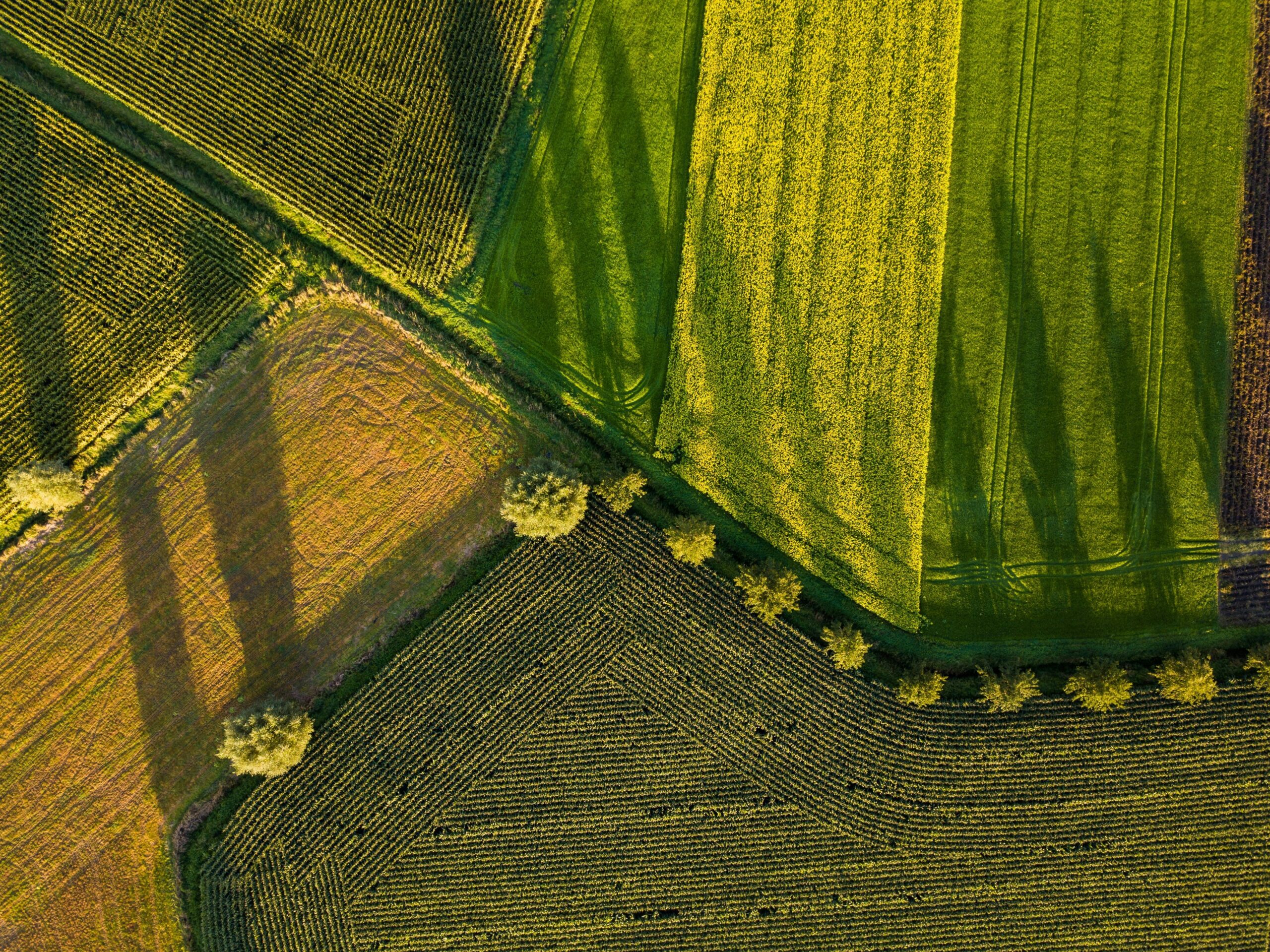 Agricultura de precision cordoba imagenes satelitales cordoba Agricultura de precision cordoba imagenes satelitales cordoba